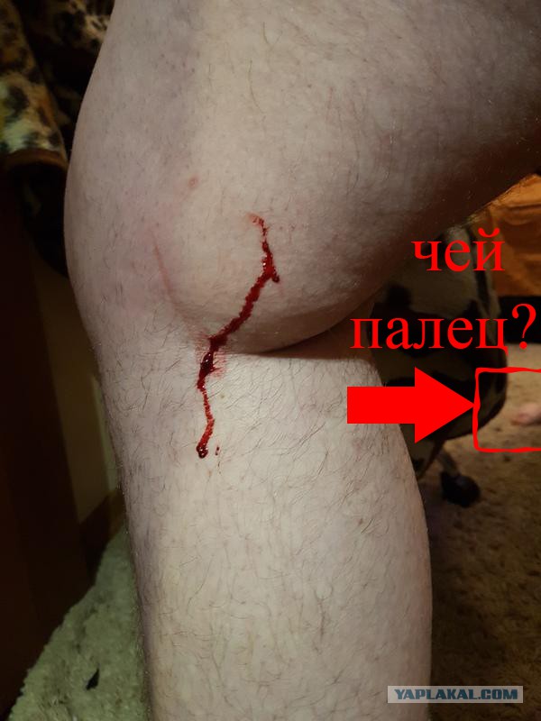 Немецкая мультиварка рванула не хуже бомбы