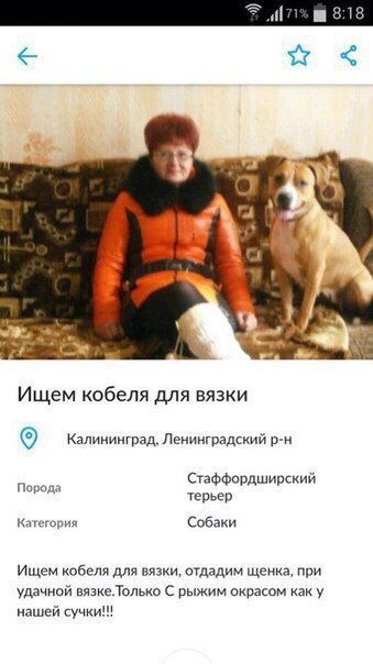 Смотрим и деградируем