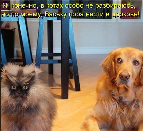 Тот самый, "Ёшкин кот"