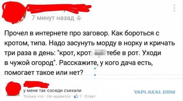Как завести в огороде медведок