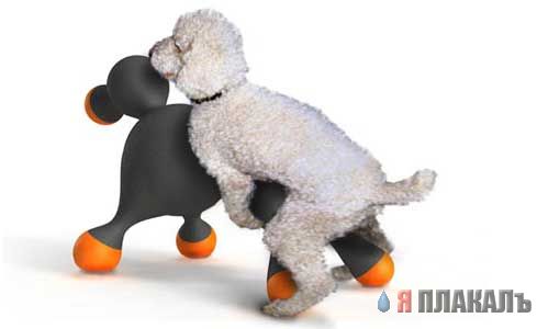 Резиновая СОБЧАК отдыхает!