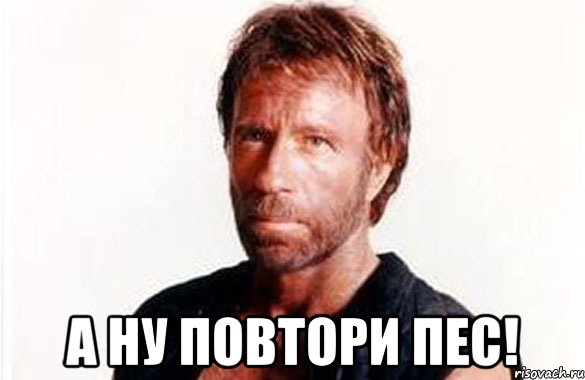 Грация у котейки зашкаливает.