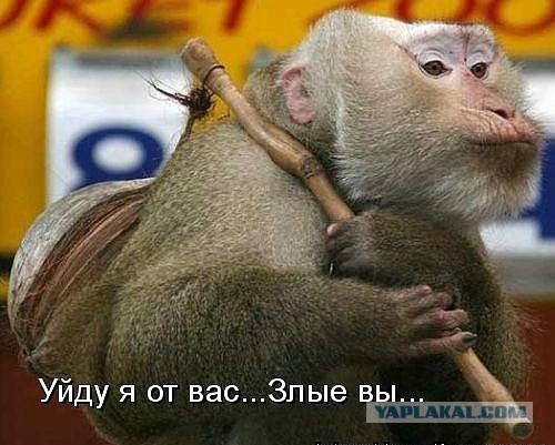 Кокорин пожаловался на россиян