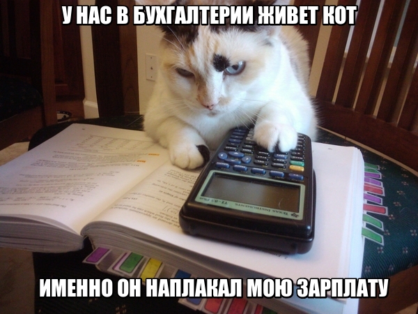32 картинки с надписями на разные темы