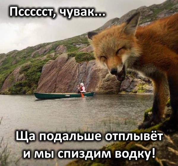 Нестандартный юмор