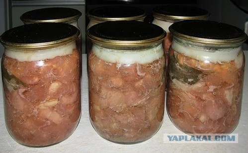 Тушенка СОВОК из Ашана. Проверим качество?