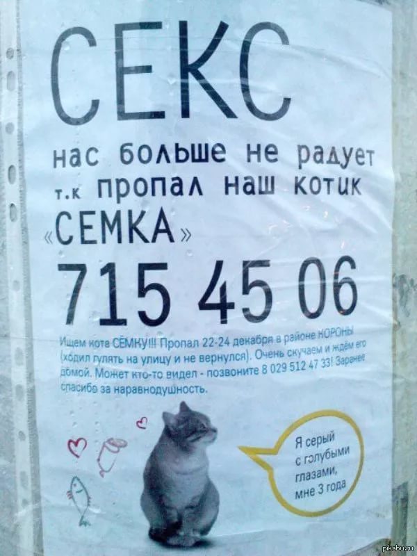 Предложения, от которых нельзя отказаться