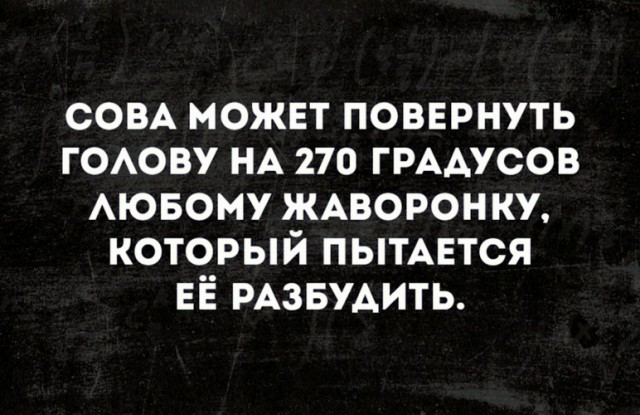 Комментарии к постам в разных группах, которые вызвали улыбку