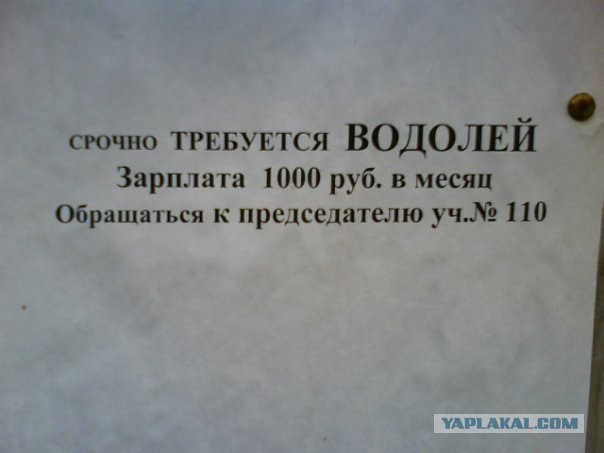 Казусы моего города. Часть первая