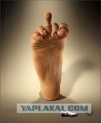 Телефон модели "Жизнь удалась"