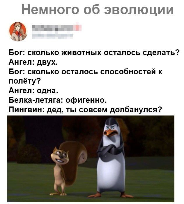 Подборка картинок