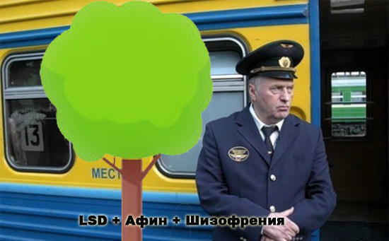 Фотожаба: Жириновский проводник