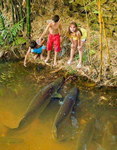 35 весёлых и увлекательных фотографий, чтобы побороть трудное время улыбкой