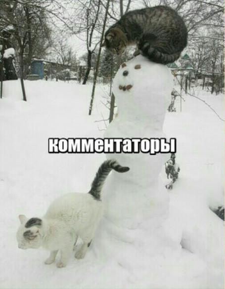 Чуток картинок 22.06.20