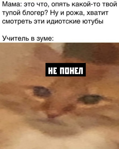 Юмор и прикольные картинки