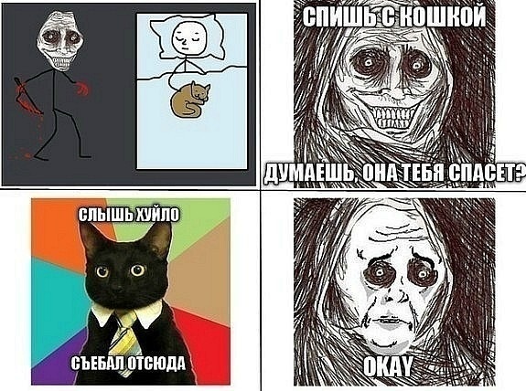 Житие одного кота. В фотографиях. Вторник же...