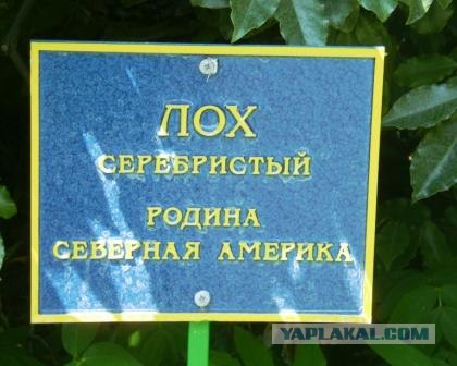 Работа ГИБДД за стенами управления