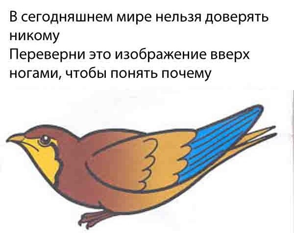 Весёлый полтишок 1.04