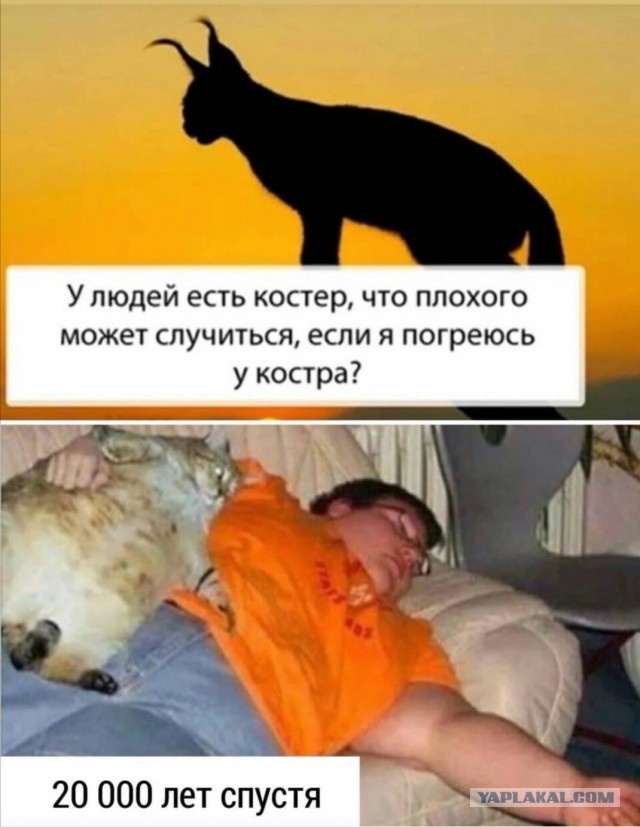 Бредзона 05.04.21