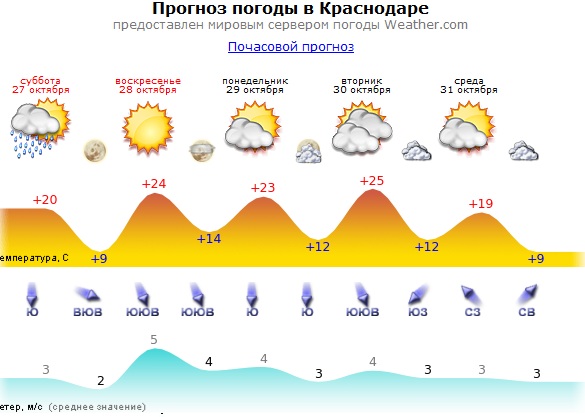 Полицейские спасли замерзавшего в тайге водителя
