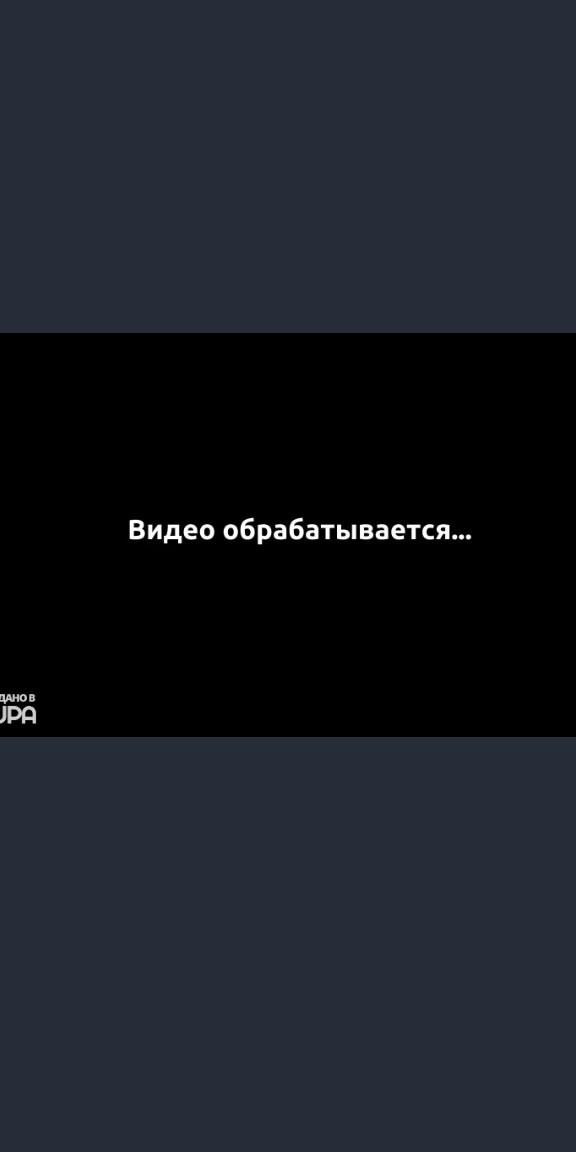 Женщина-коп против бородатого "пухляша"