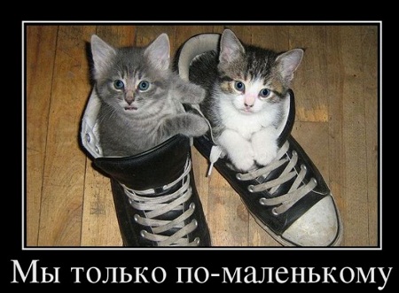 Здравствуйте