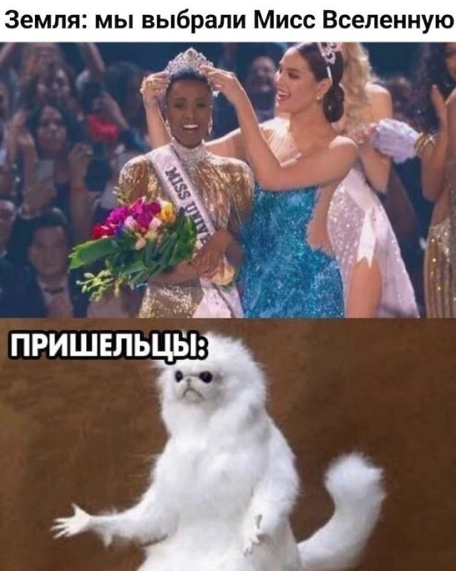Картинки и мемы для настроения 003