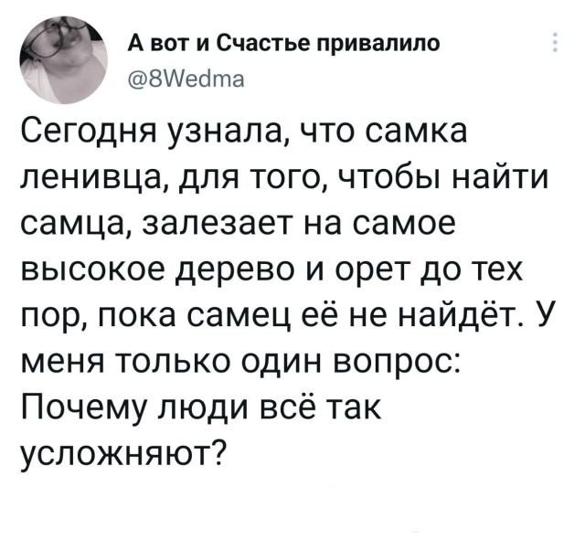 Забавные комментарии из социальных сетей (15.08.22)