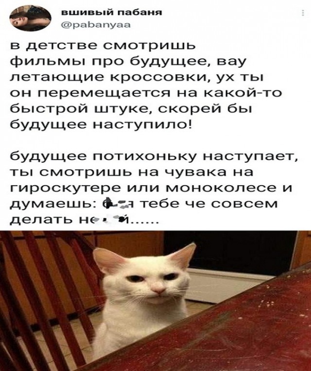 Картинки и мемы для настроения - 111