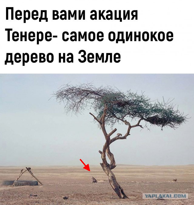 Так себе картинки 18.10.22