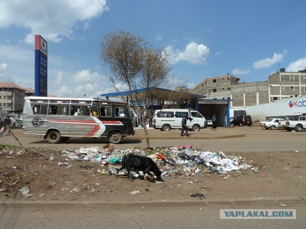 AFRICA - (Эфиопия,Кения,Танзация) 4-16 ноября 2011