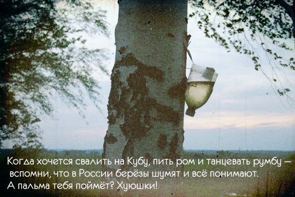 Картинки и мемы для настроения - 131