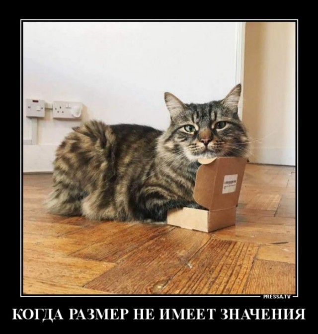 Картинки и мемы, всем хороших выходных