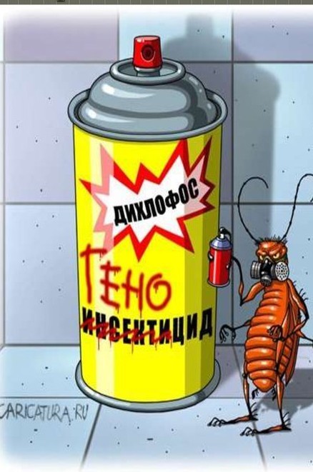 Удаление огромного гнезда шершней