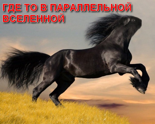 Выйду ночью в поле с к..акого хера?