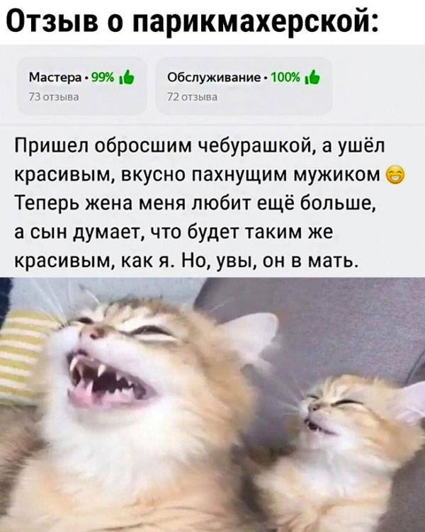 Какие-то бояны в спорадическом порядке