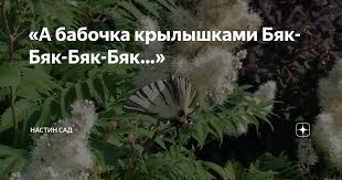 Украина впервые с начала СВО атаковала беспилотником Ленинградскую область