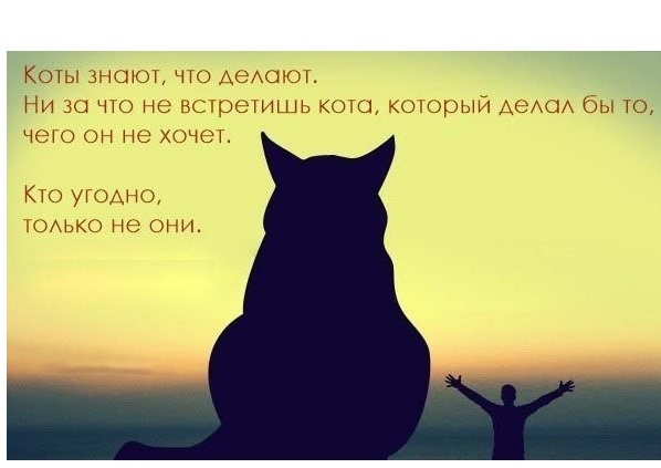 Маленькая пятница