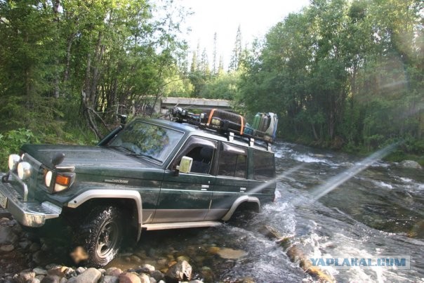 Котяра или На одну мечту меньше