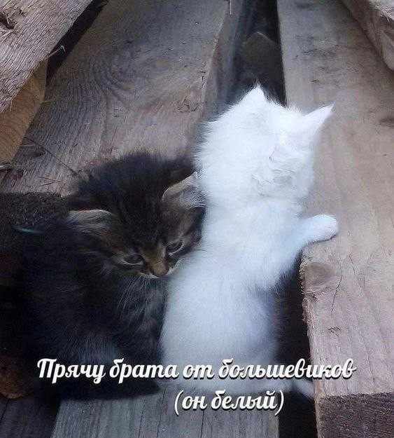 Всего понемногу. От 07.08