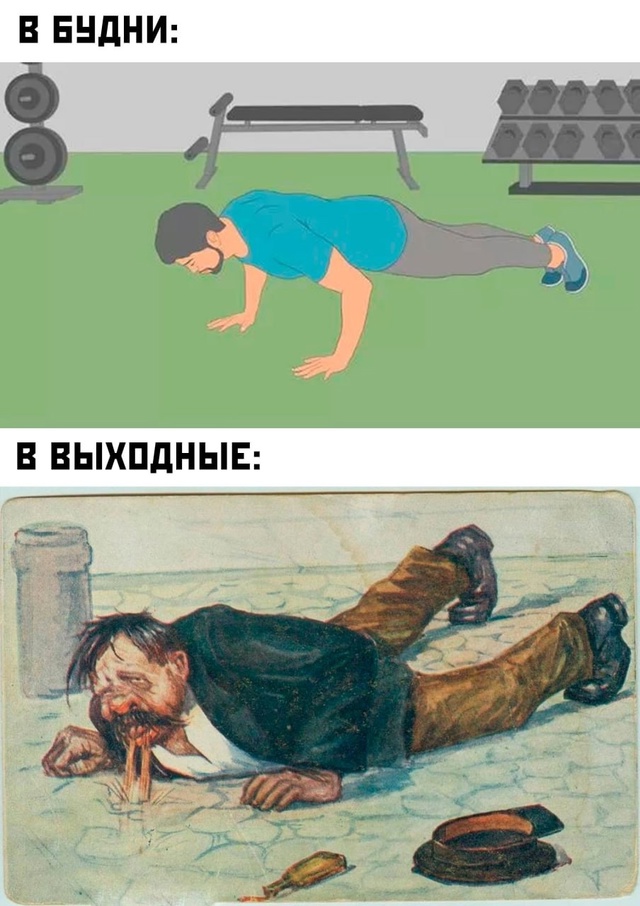 Весёлый полтишок 14.10.2024