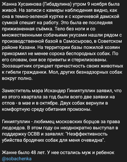 «Собаки напали, помогите!»: звонок жительницы Казани в службу спасения за мгновение до гибели⁠⁠