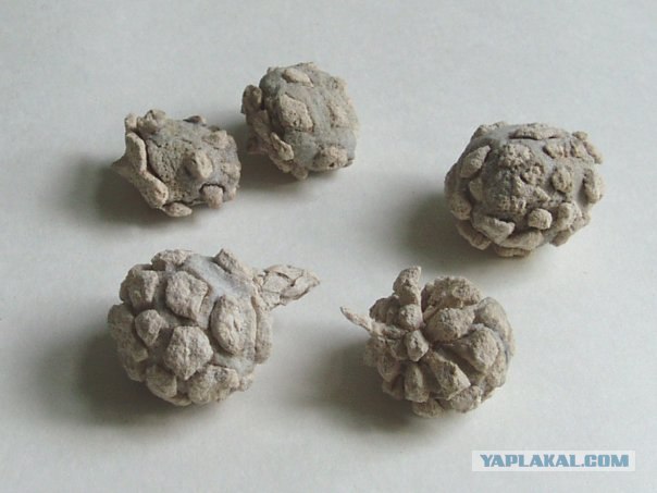 История мира у нас под ногами