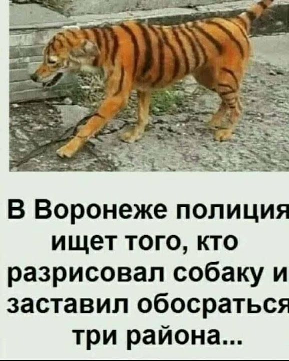 Так себе картинки 30.01.25