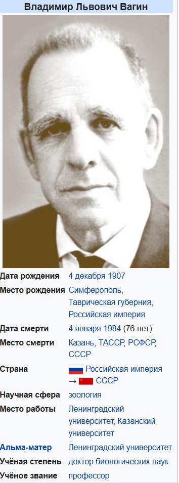 Сингулярность Вагина