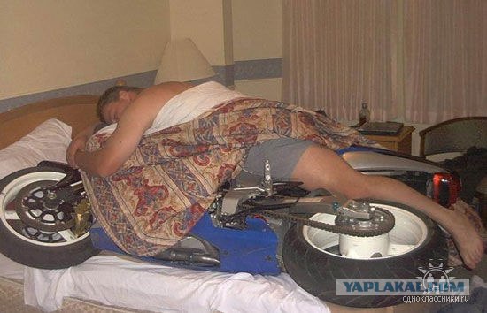 Дикие фото из социальных сетей