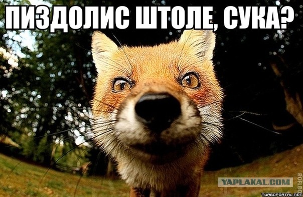 Ни о чём не жалею!