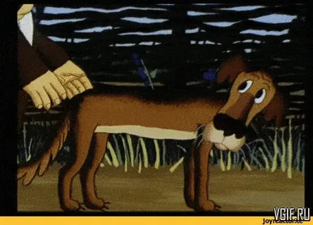 Собаки невиноваки