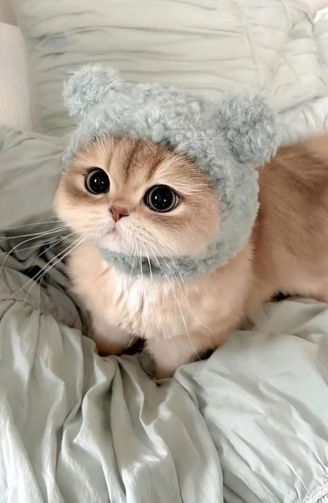 Кажется мы стали забывать
