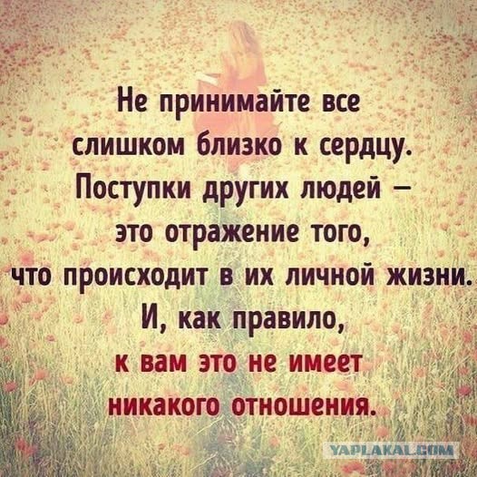 Картинки для деградации 79 (разной степени свежести)